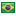 Brazil flag