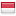 Indonesia flag