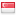 Singapore flag