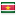 Suriname flag